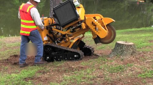 Stump Removal/Grinding